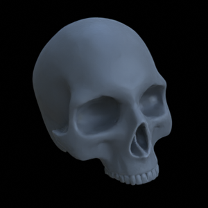 Knochen