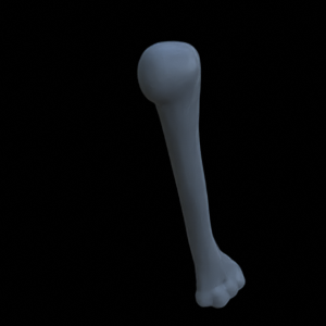 Knochen