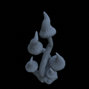 Pilze Set 3