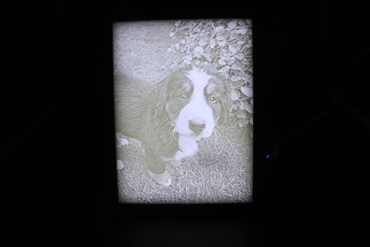 Lithophane Druck 15,5cmx20,5cm